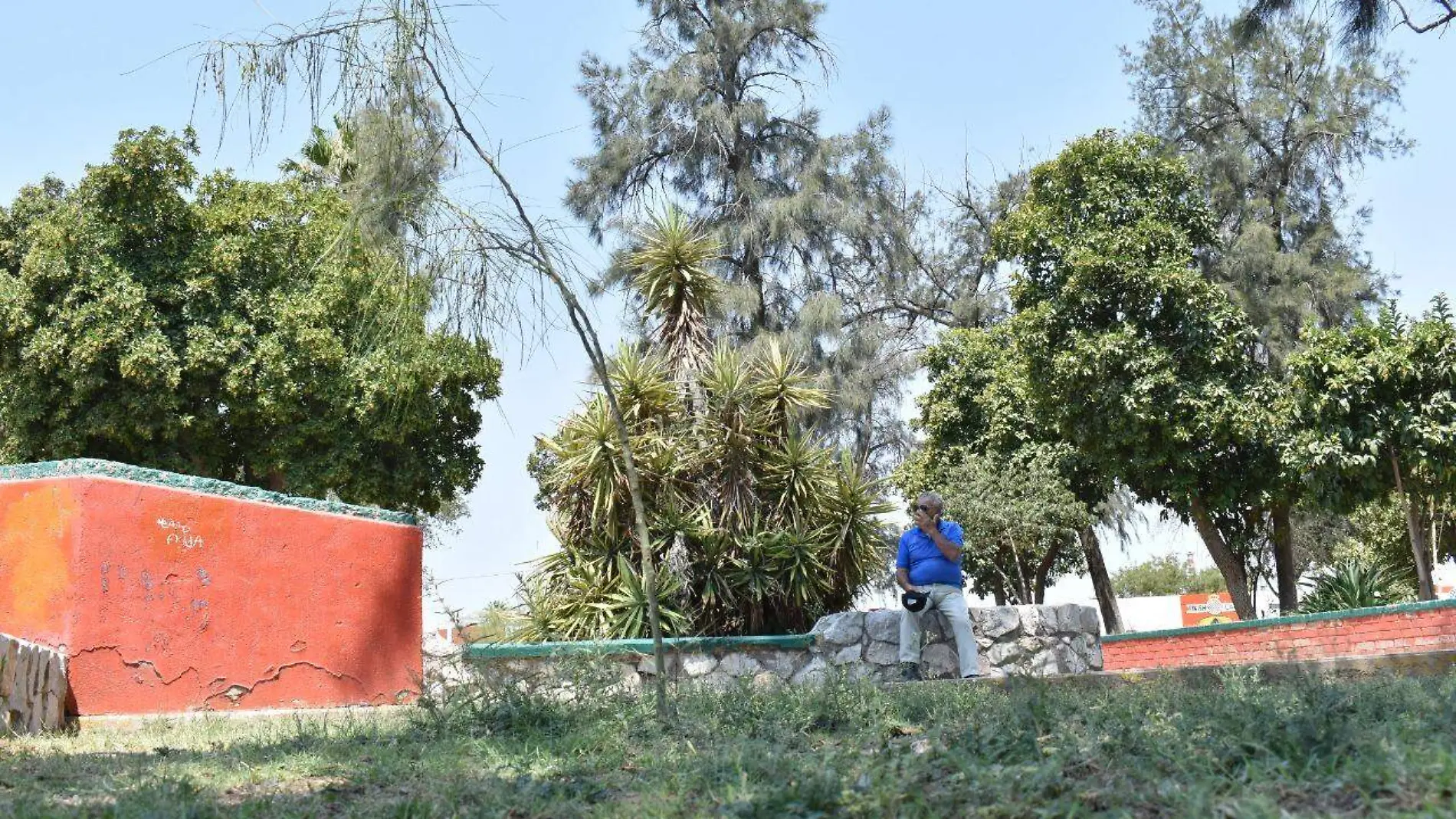 5 Proyecto integral para áreas verdes en torreón